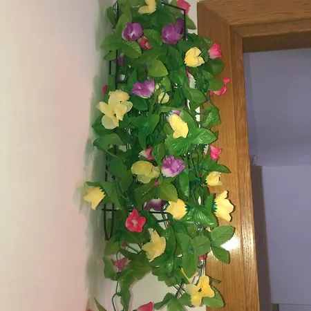 아파트 Precioso Apartamento En 카라펠